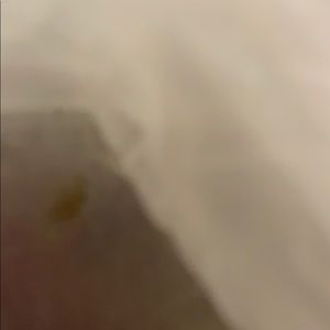 Meet your Posher, Cami